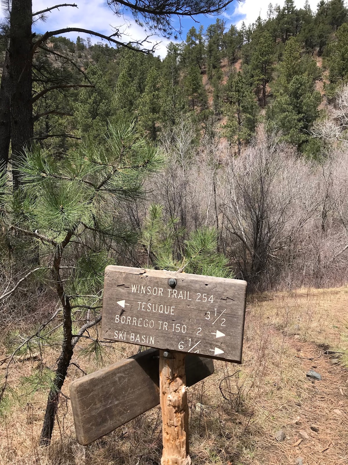Southern New Mexico Explorer Winsor Trail (FT 254), Chamisa Trail ( FT