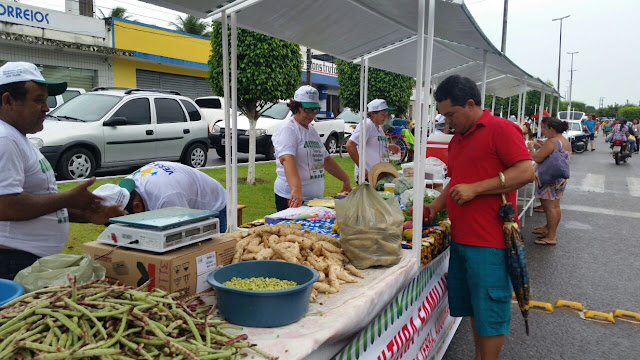 Resultado de imagem para feira da agricultura familiar rn