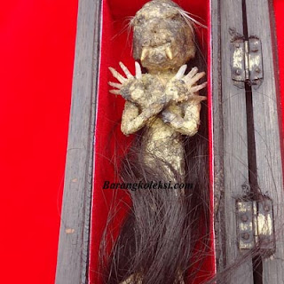 Jenglot Asli Bertuah Jenglot Raja Jin, kegunaan jenglot atau batara karang, harga jenglot asli, cara menangkap jenglot, manfaat memelihara jenglot, bahaya memelihara jenglot, perbedaan jenglot dan batara karang, batara karang vs jenglot, cara menghidupkan jenglot, azimat ampuh, jimat ampuh, pusaka jenglot, batara karang asli, barang koleksi, jenglot ampuh, jenglot tarikan, pusaka bertuah, barang mistik, benda bertuah,