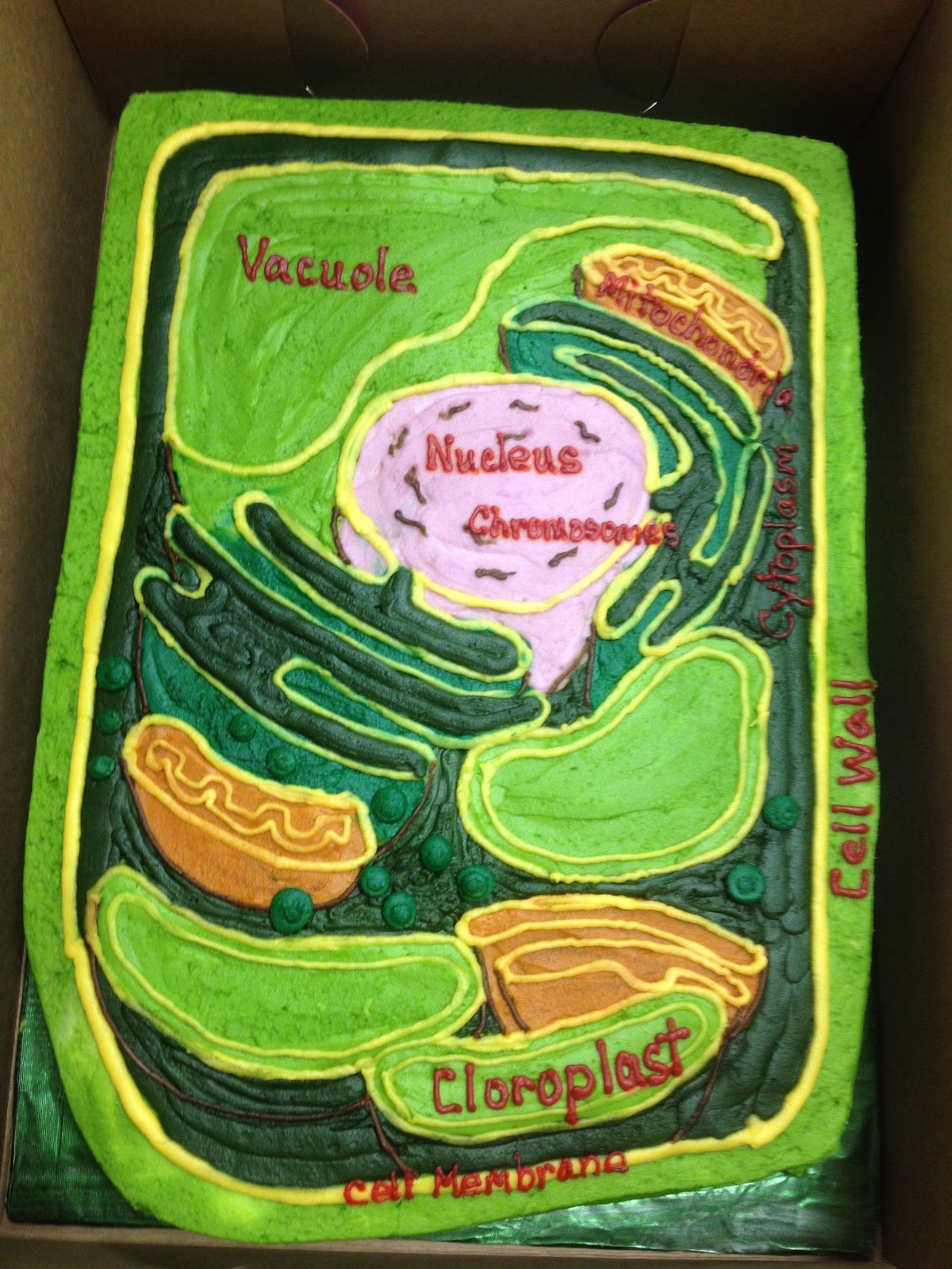 Raymond L. Young "A good place to learn and grow!": Editable Plant Cell