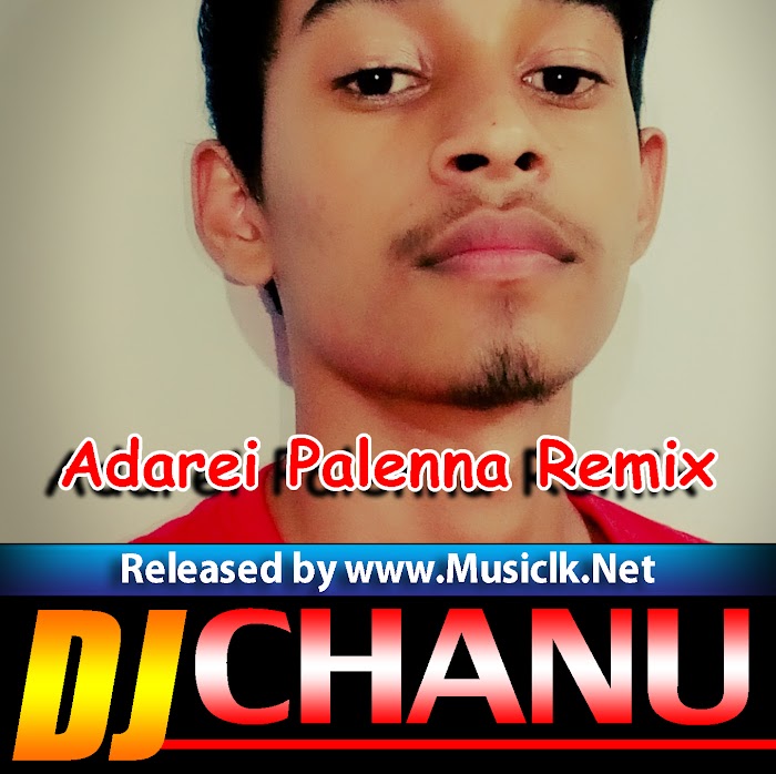 Adarei Palenna Remix - DJ ChaNu