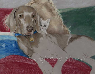 progression of a dog portrait in pastel by Colette Theriault