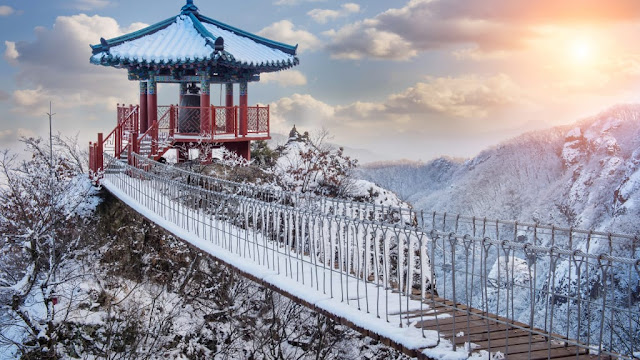 11 Tempat Wisata Terbaik Di Korea yang Bisa Anda Kunjungi 