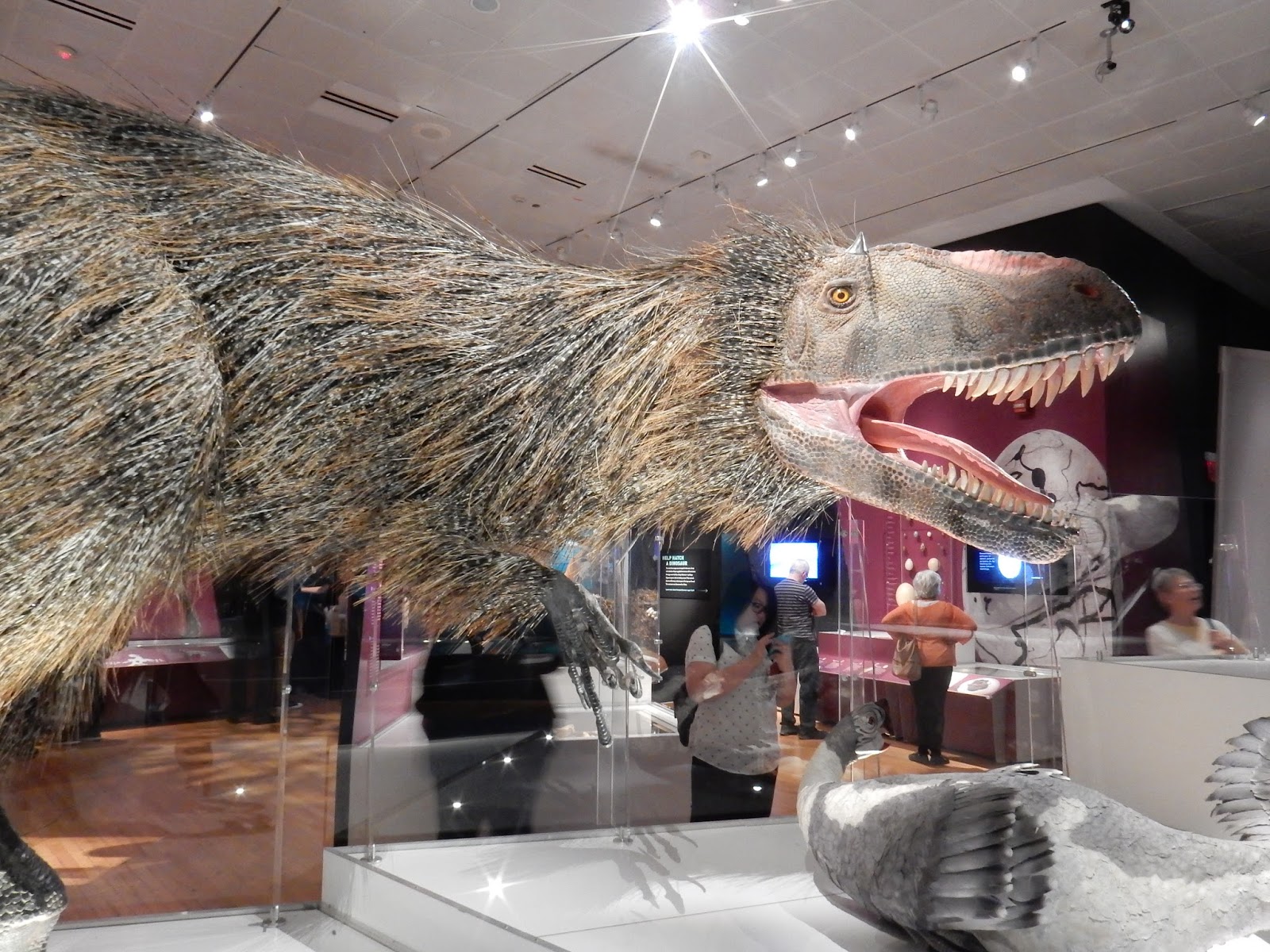 Raptormaniacs Dinosaurs Among Us at the AMNH