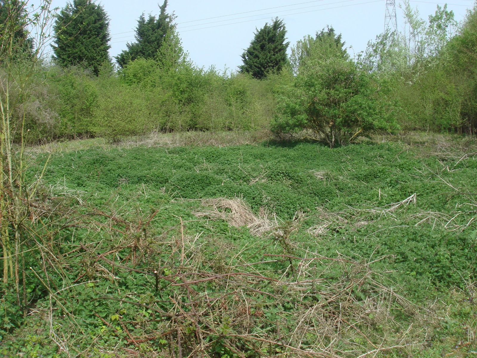 ww1-battlefields-and-beyond: January 2012