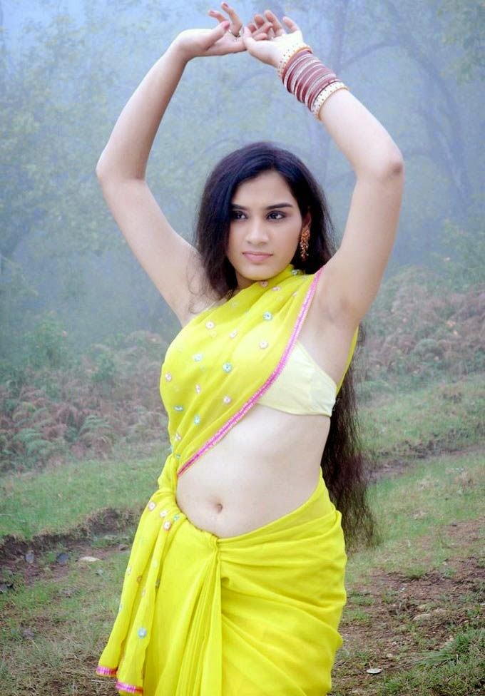 South Indian Actress Low Hip Saree Navel Show Pic