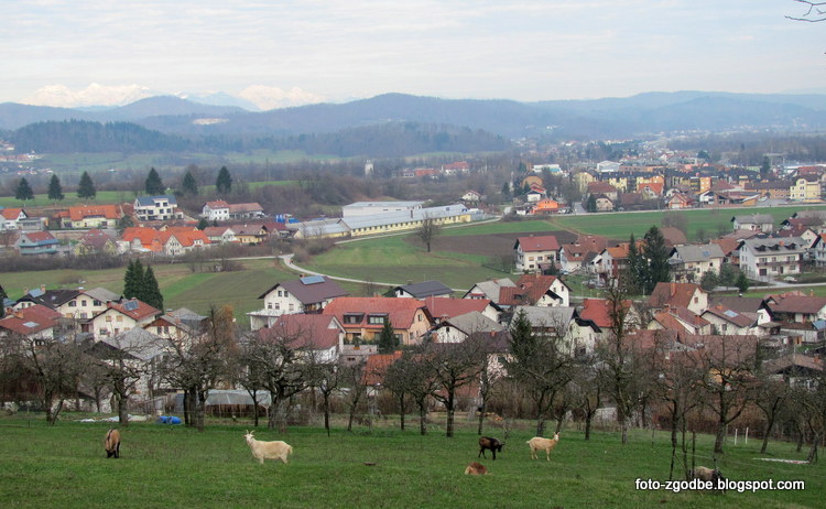 Cankarjeva Vrhnika