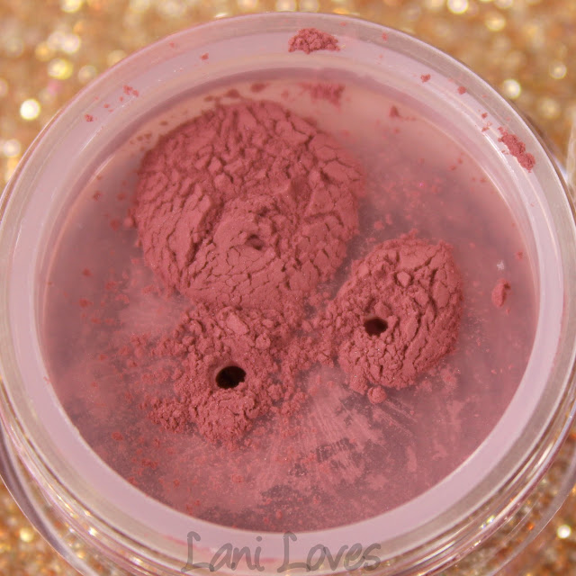 Notoriously Morbid Blush - Skin Swatches & Review