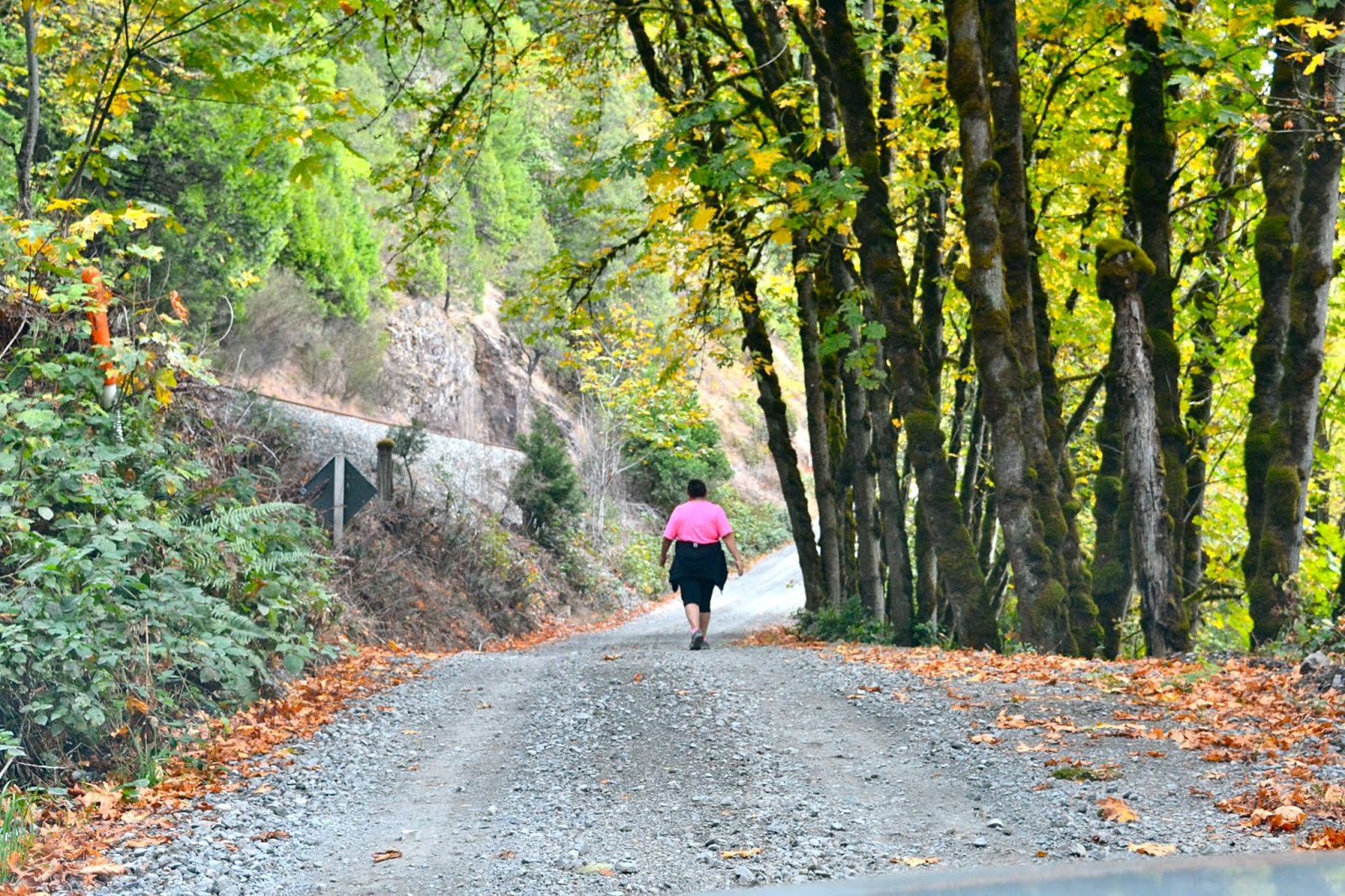 CENSORED NEWS Molalla Ancestral Run Tribe responds to Old Hazeldell