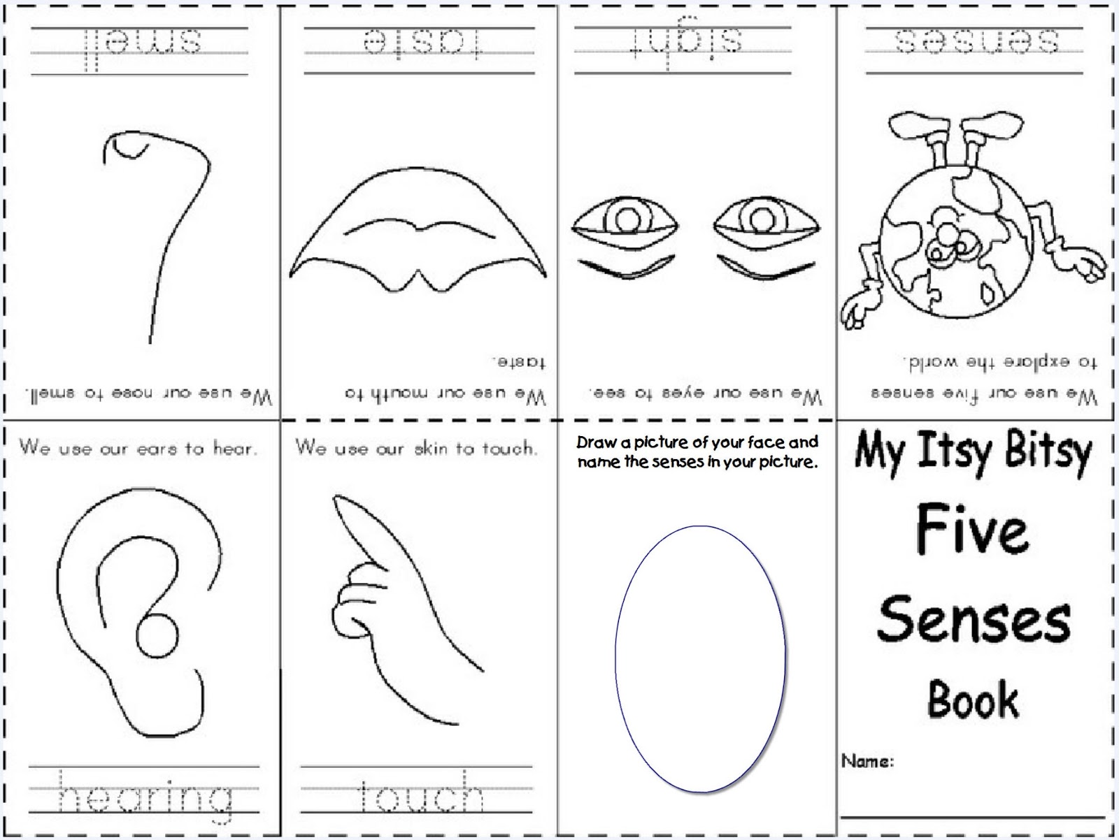 Arab Unity School Grade 1 C Blog Science 5 Senses Worksheets