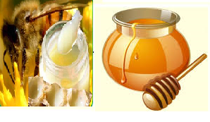 mật ong và sữa ong chúa 