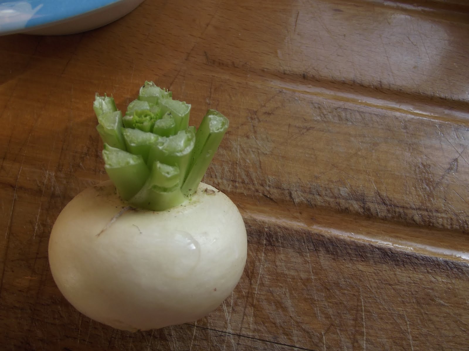 Nice little turnip!