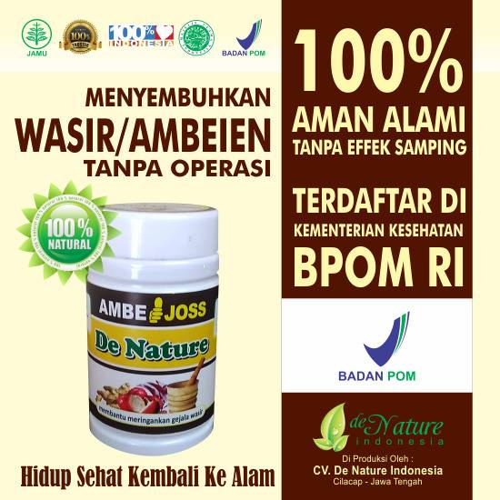 https://4.bp.blogspot.com/-qIxibccgGYo/V9to0E05KrI/AAAAAAAAAEs/wfBsMXWizfwItvV7McQRnJnAlW7vYHwZACLcB/s1600/Apakah-Ambeien-Bisa-Sembuh-Total.jpg