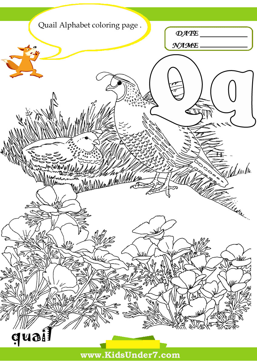 Kids Under 7 Letter Q Worksheets and Coloring Pages Kids Under 7 Letter Q Worksheets and Coloring Pages