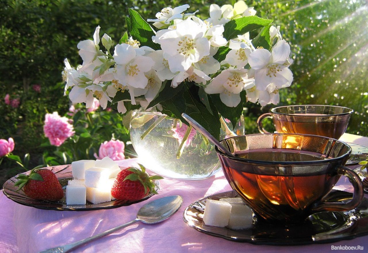 Пожелания доброго дня мужчине весеннего. Прекрасного летнего утра и хорошего дня. Доброе утро чай цветы. Натюрморт Весеннее настроение. Чаепитие на природе.