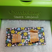 Wild & Punny, #CTMH, Craft On, thin cuts, eclipse card, blog hop