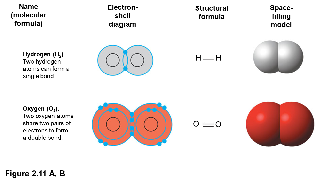 อะตอมของไฮโดรเจนมีองค์ประกอบอย่างไร
