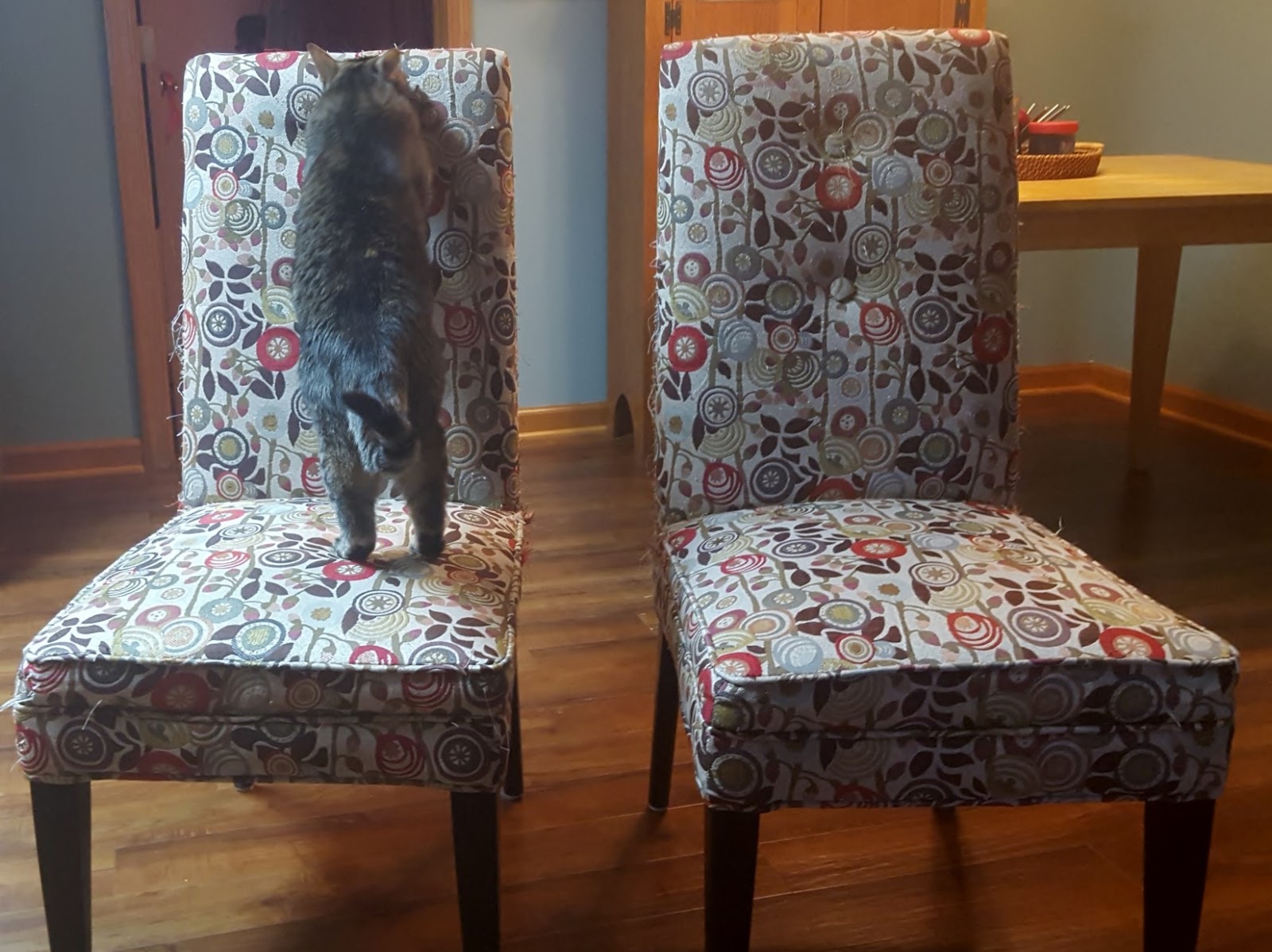 crypton fabric dining chairs