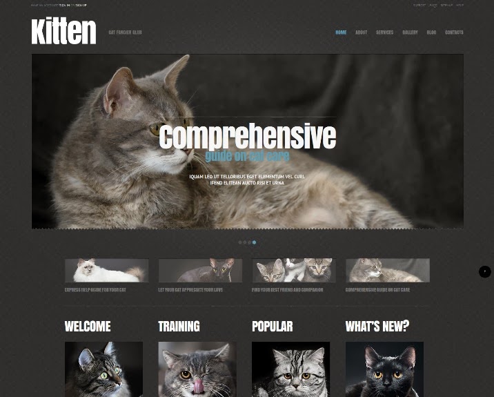 Cat Responsive WordPress Theme