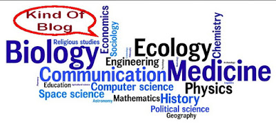Niche of blog Picture's blog