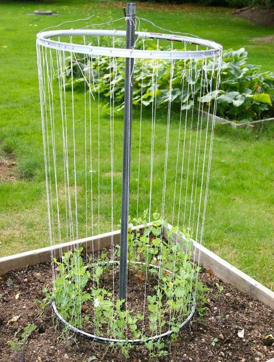 The Backyard Garden Recycled Bike Rim Trellis