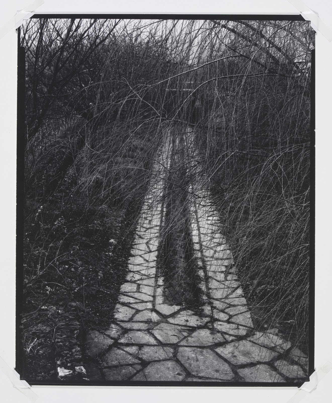 Art History News Paul Strand Photography And Film For The 20th Century Victoria And Albert Museum