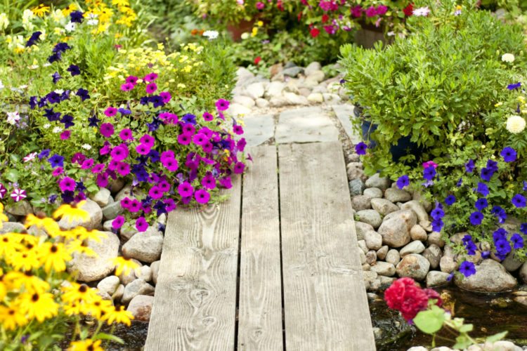 10 Perennials To Plant This Fall To Make Your Garden Beautiful