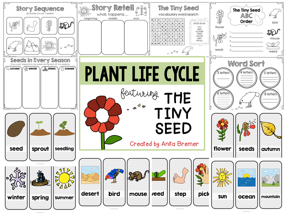 Tiny Seed Worksheet For Kindergarten