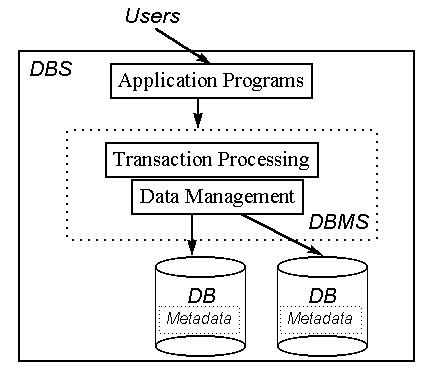 Database/Database System/Database Management System