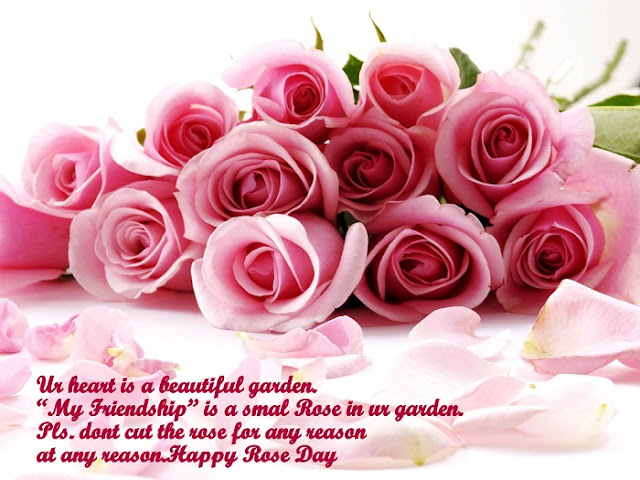 Rose Day Wallpapers HD Download Rose Day Wallpapers HD Download