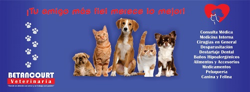 Veterinaria Betancourt