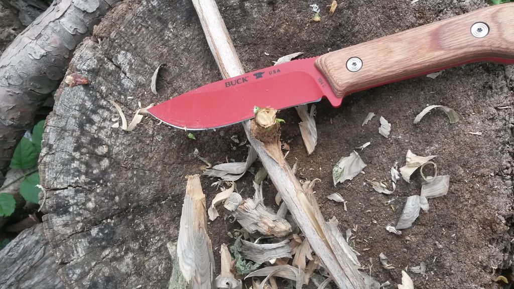 Buck104b_zpst5yxulvn.jpg
