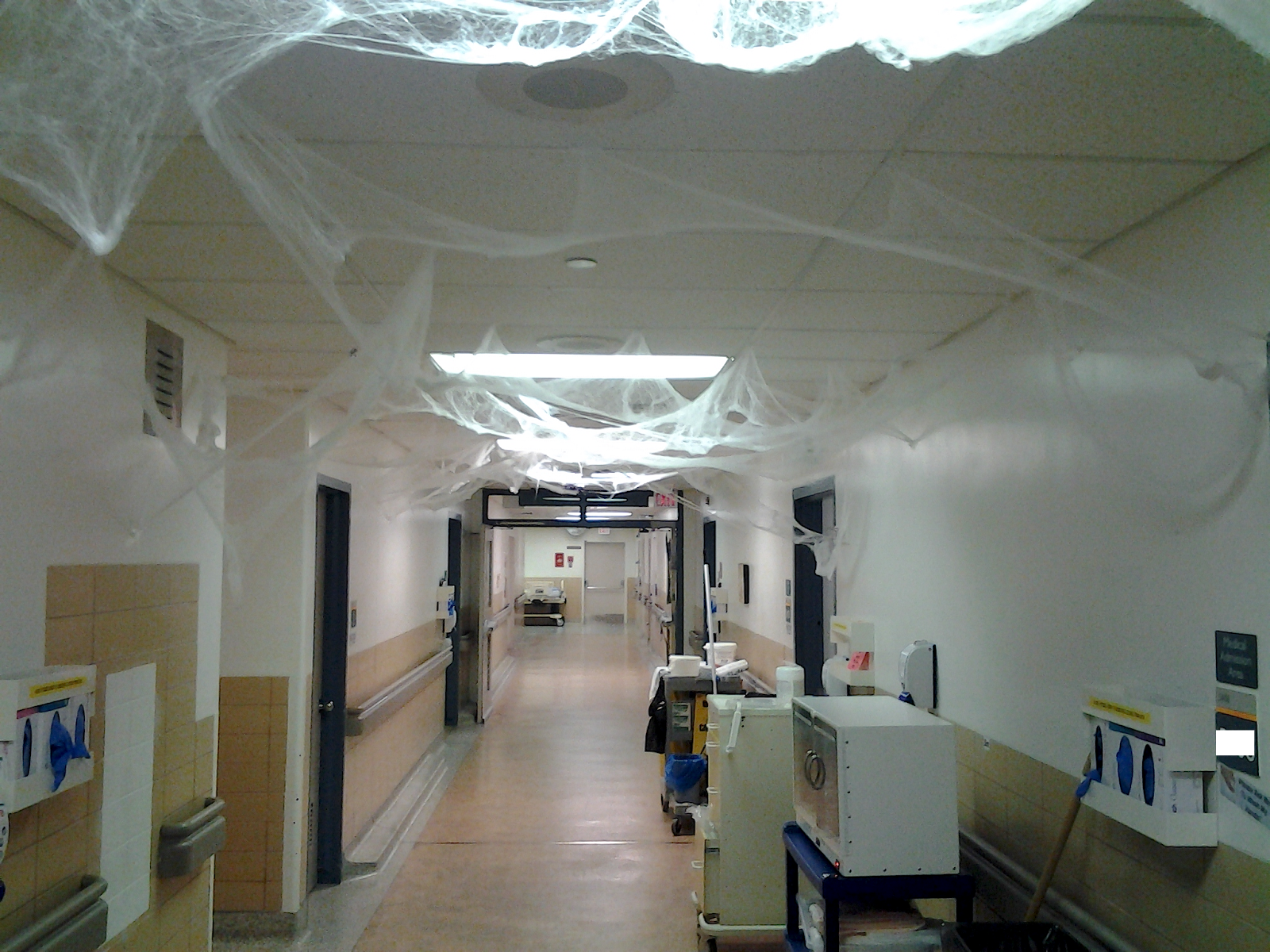 Winding Spiral Case Weekend Review Hospital Tunnels, Halloween Decor