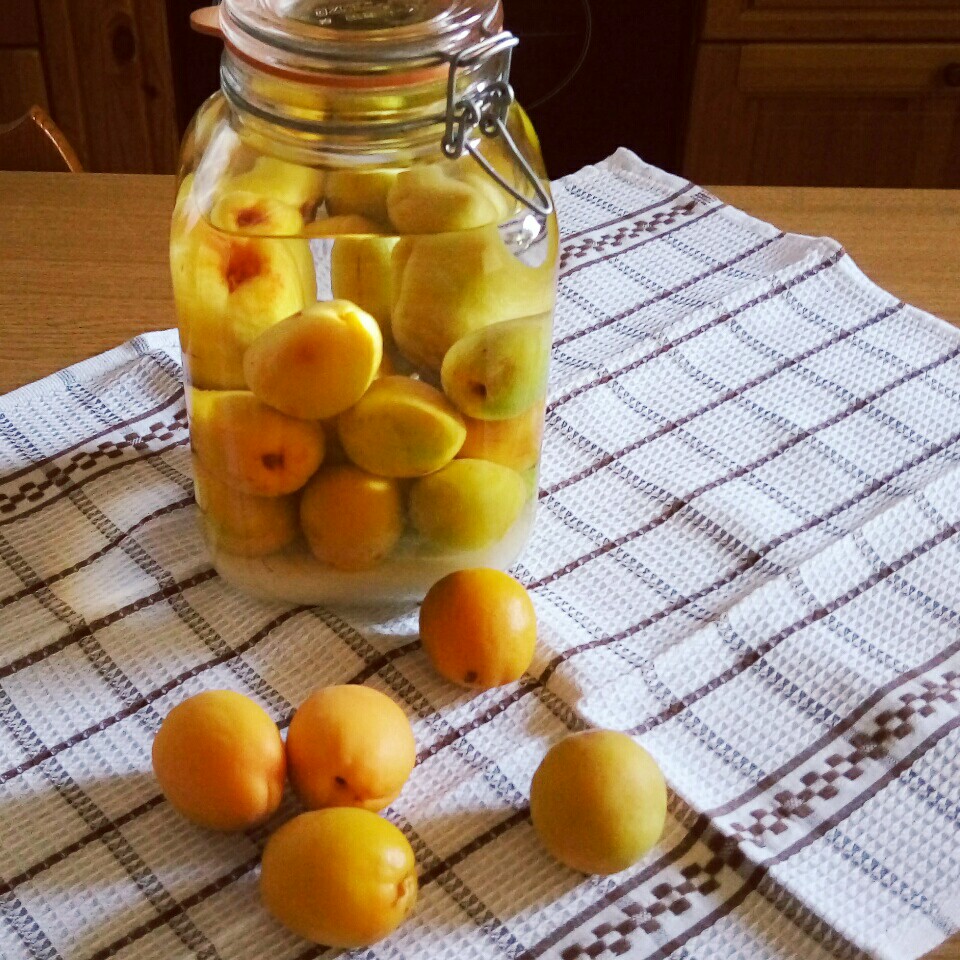 OishiGnam* [recipe] Apricot liqueur