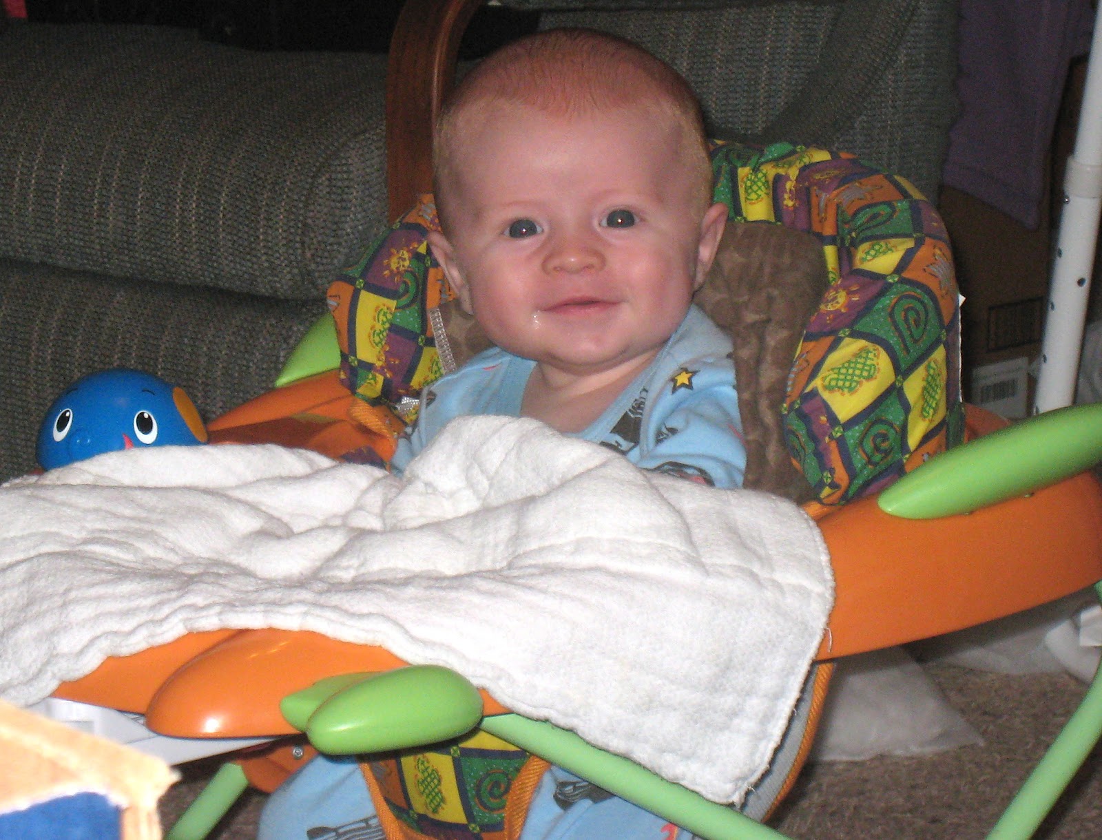 My Crazy Gluten Free Life! Wall Flower, Hair Clip HolderThingy