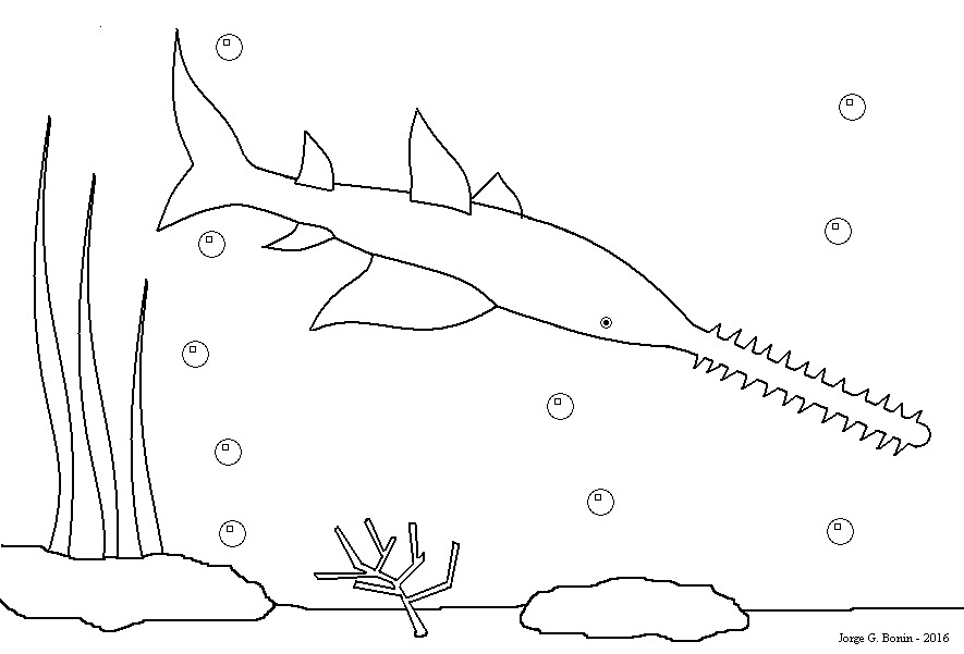 arte no paint desenho para colorir peixe serra