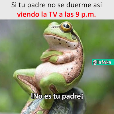 Si tu padre no se duerme así viendo la TV a las 9 p.m. no es tu padre Si tu padre no se duerme así viendo la TV a las 9 p.m. no es tu padre