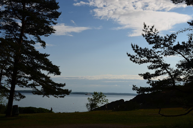 DSC_0503.JPG
