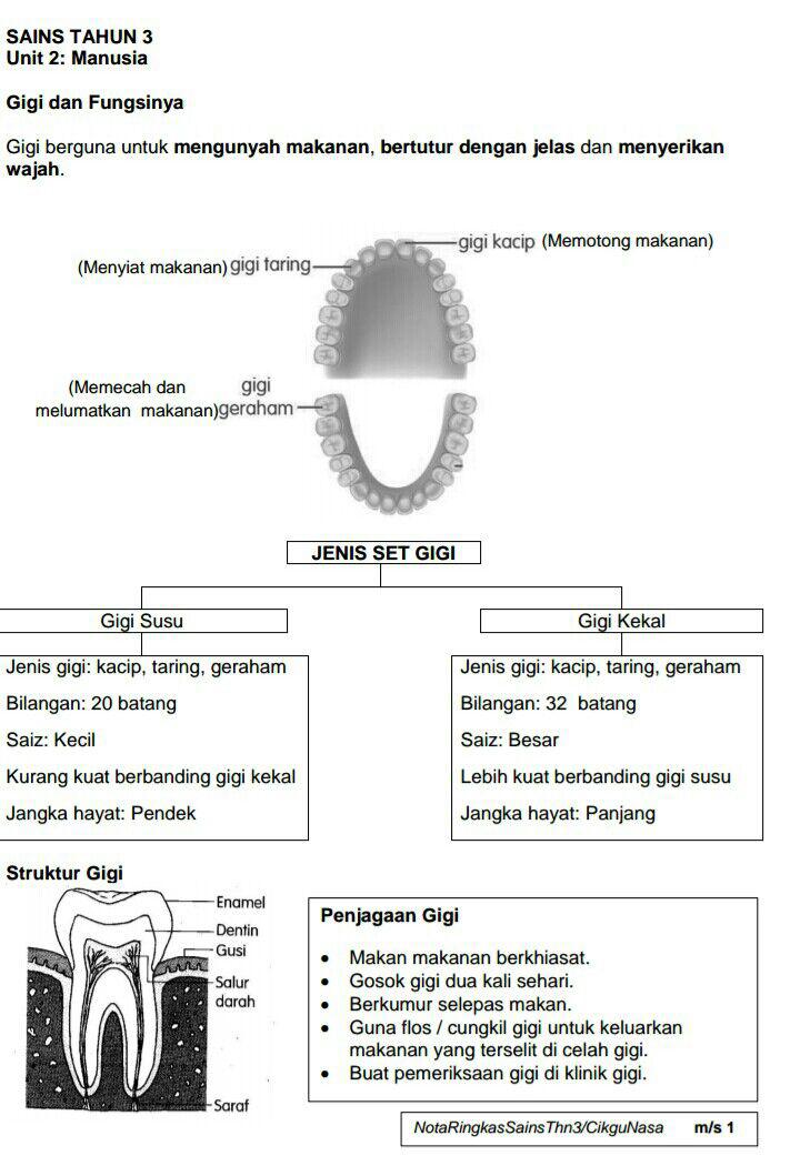 Peperiksaan Soalan Sains Tahun 3  Peperiksaan