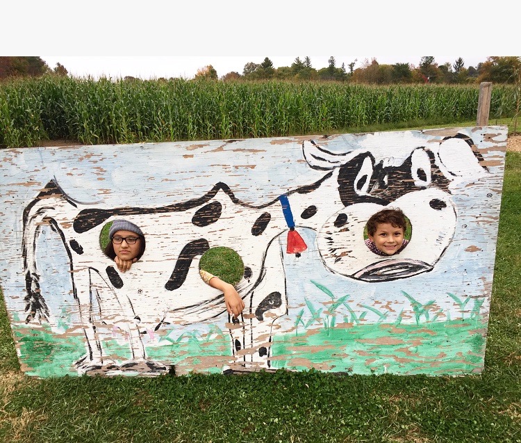 A Harmonious Combination Pumpkin Picking At Castle Hill Farm.