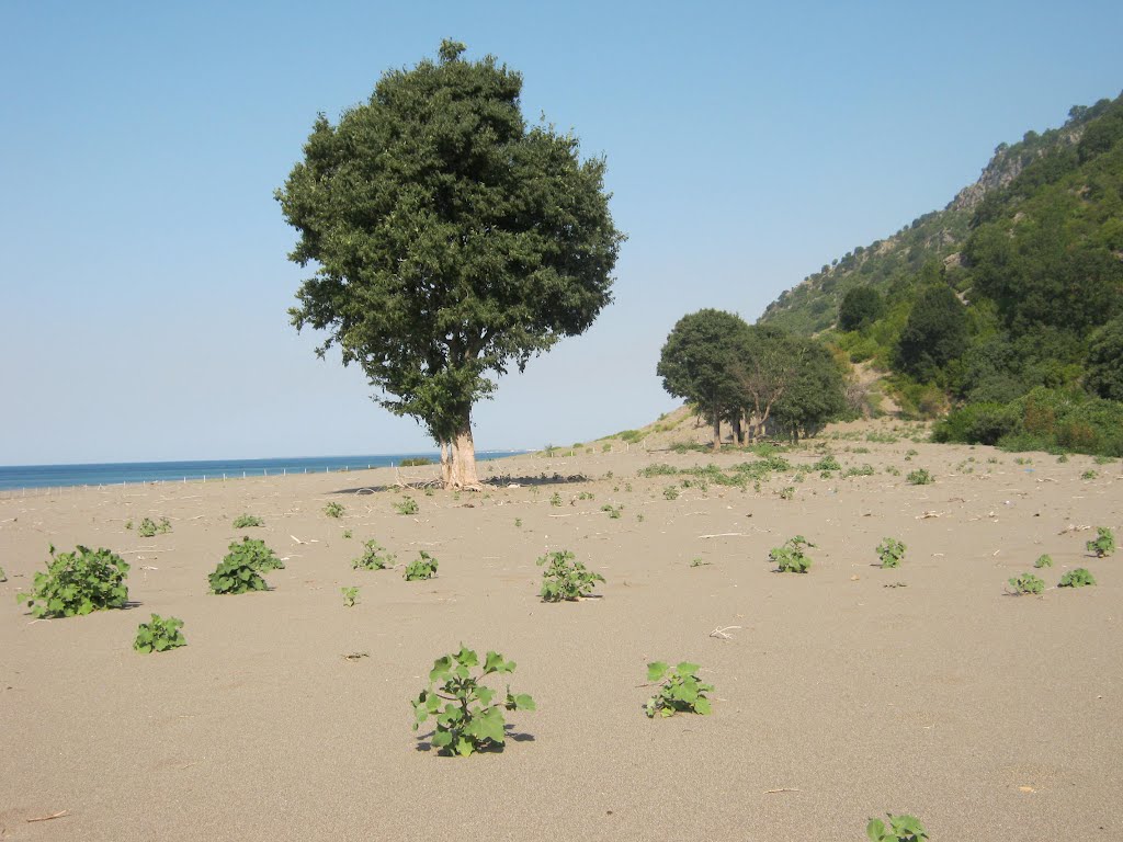 Le spiagge dell'Albania La spiaggia di Rana e Hedhur Rjolle