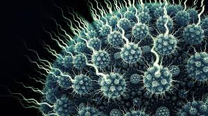     الفيروسات هي الحلقة الوسطى بين المادة الجامدة والمادة الحية