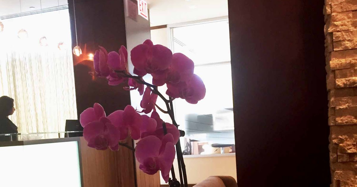 Wine and Spirits Travel Midwest Girls Getaway Continues in Naperville