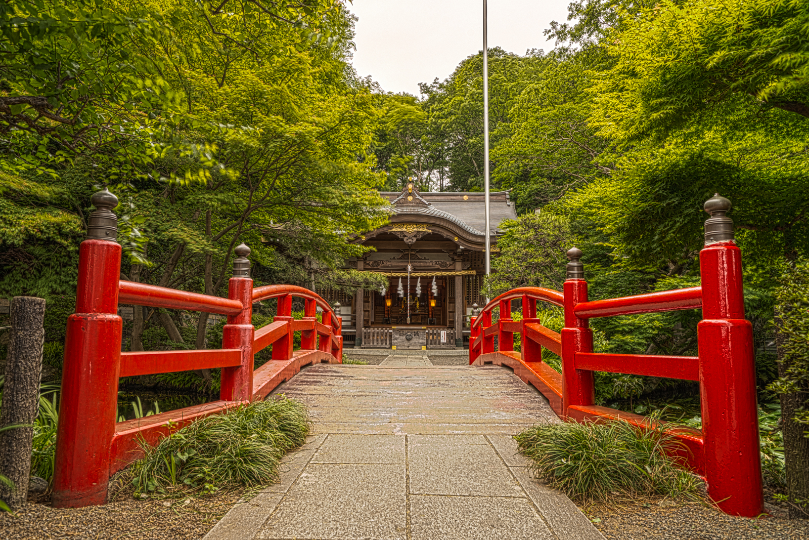 貫井神社、赤い神橋と本殿の写真