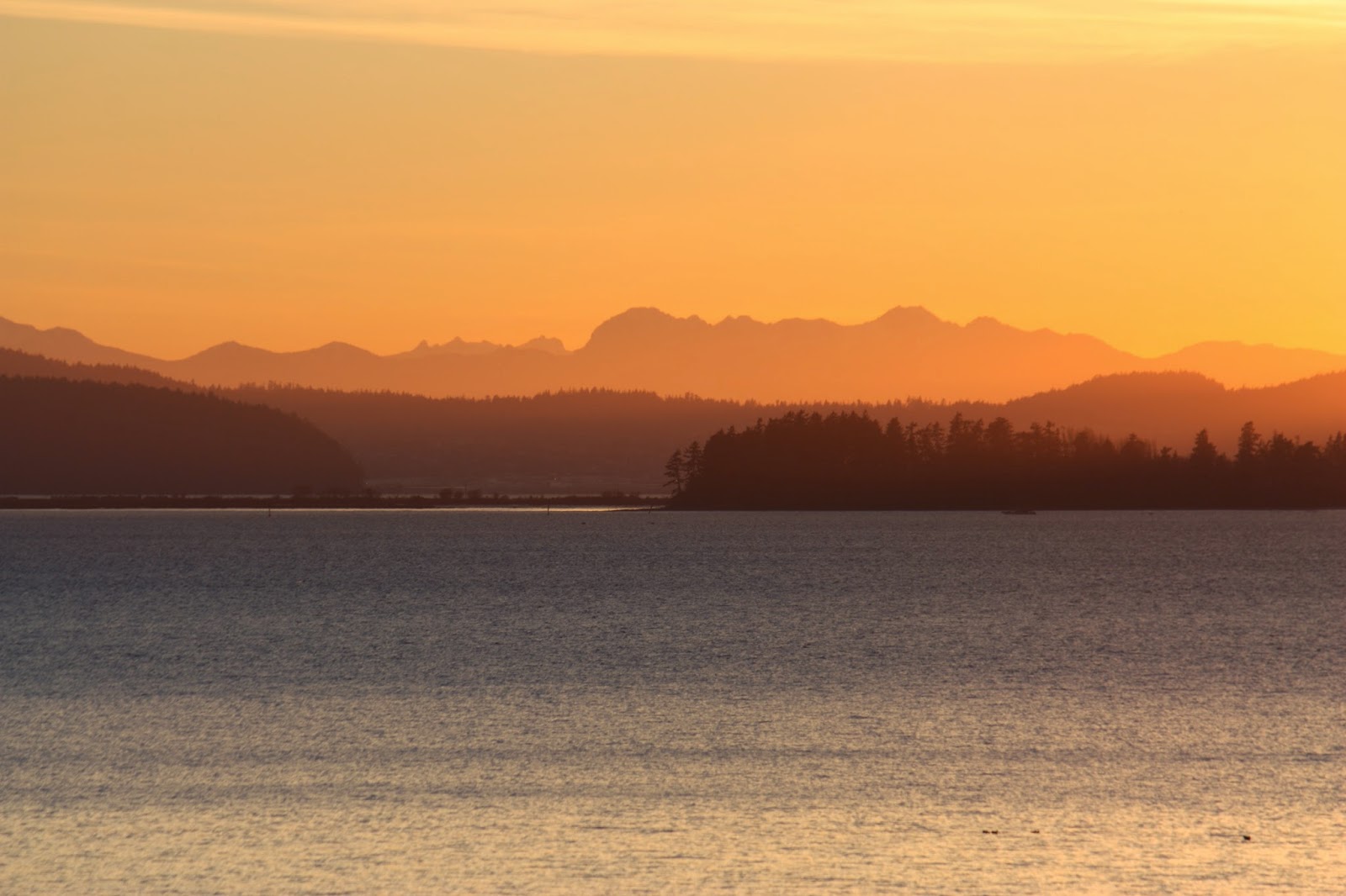 Hiking Shenandoah Oyster Dome