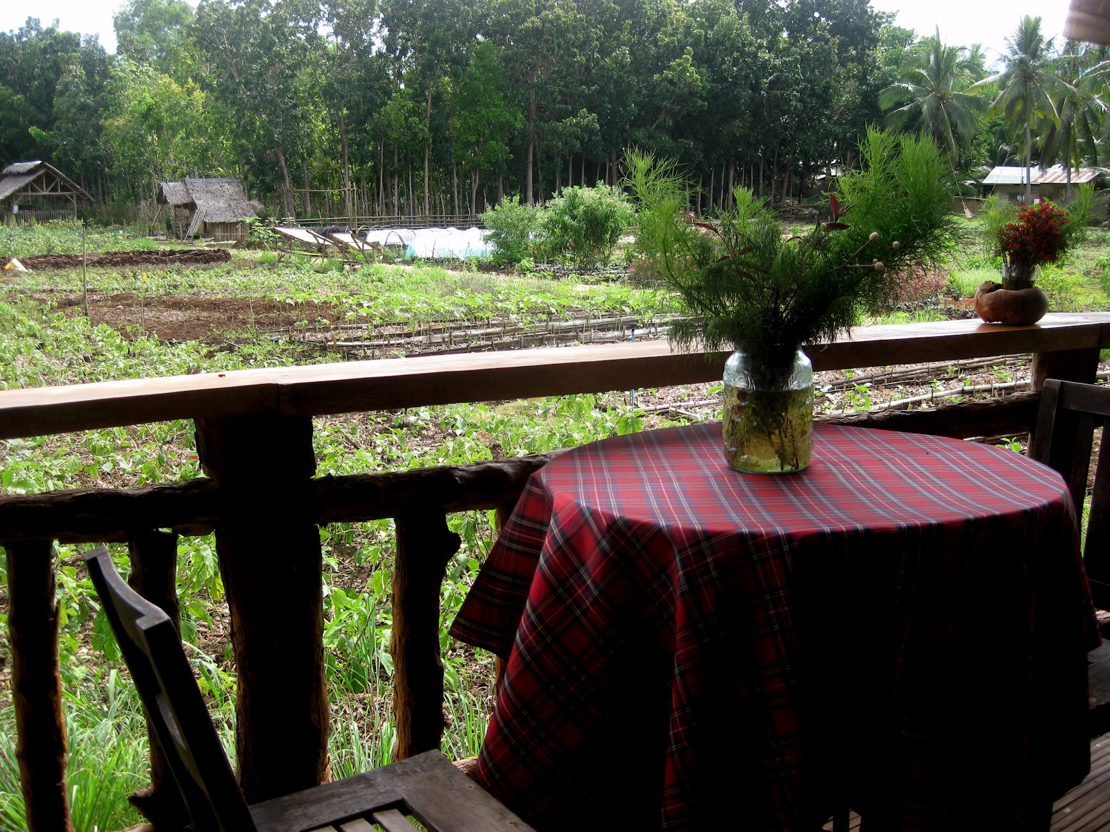 Turning Boholano Palwa Restaurant at Coco Farm