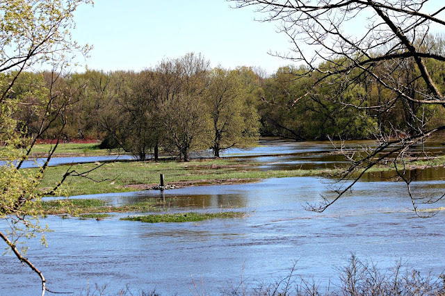 Spring flood of 2017 Saugeen River