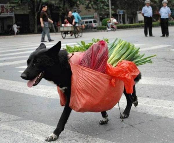 Picdump+140312+-+035.jpg