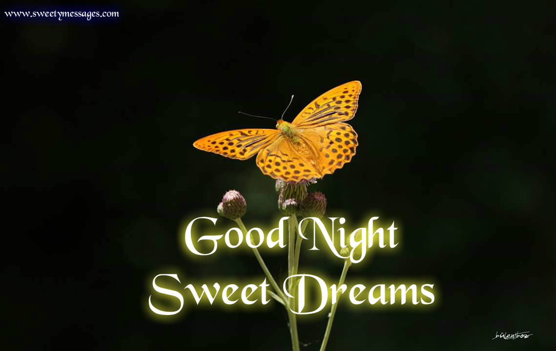 GOOD NIGHT SMS TEXT MESSAGES - Beautiful Messages