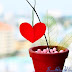 Đứng dậy sau những nỗi đau